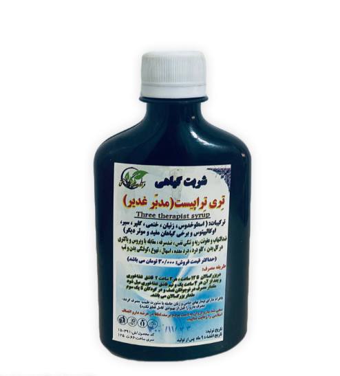 شربت غدیر کد 381